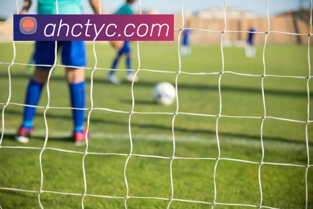 太阳城网站平台生态图